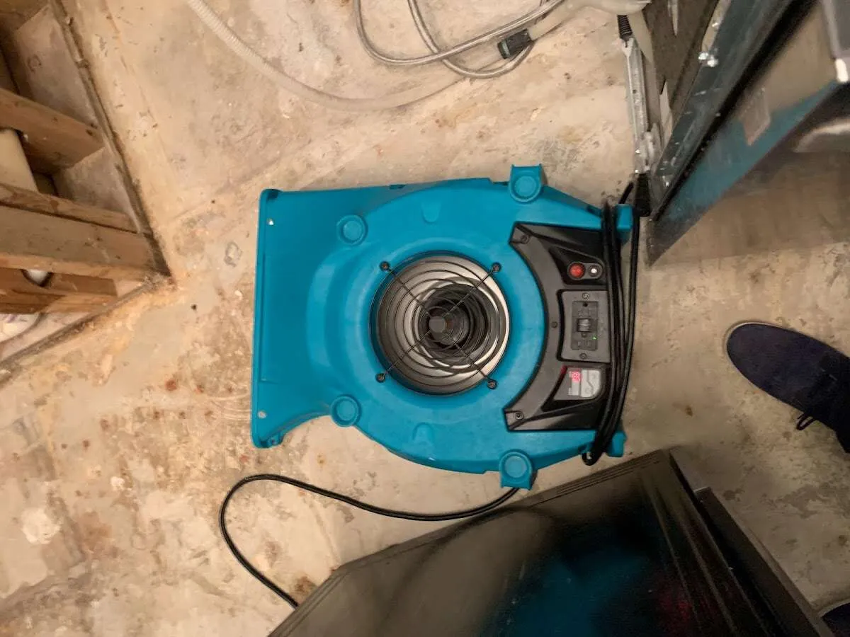 Air mover drying equipment for Mold Remediation & Removal in Merrydale